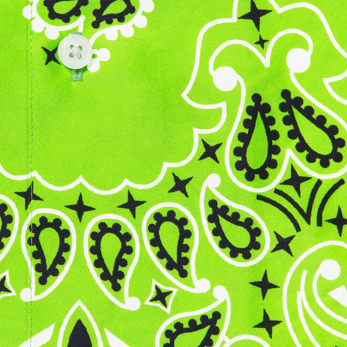 Bandana Silk S/S Shirt view 11
